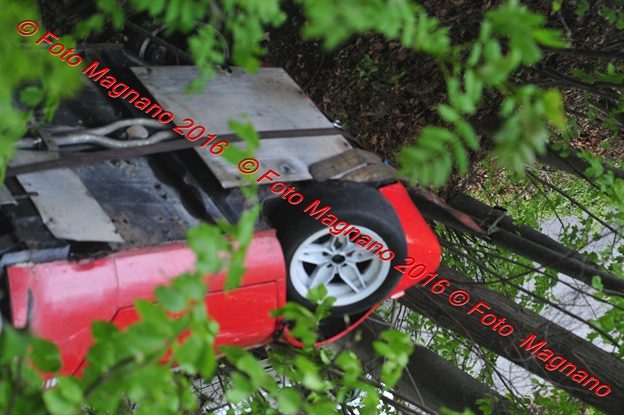 DSC_0951.JPG